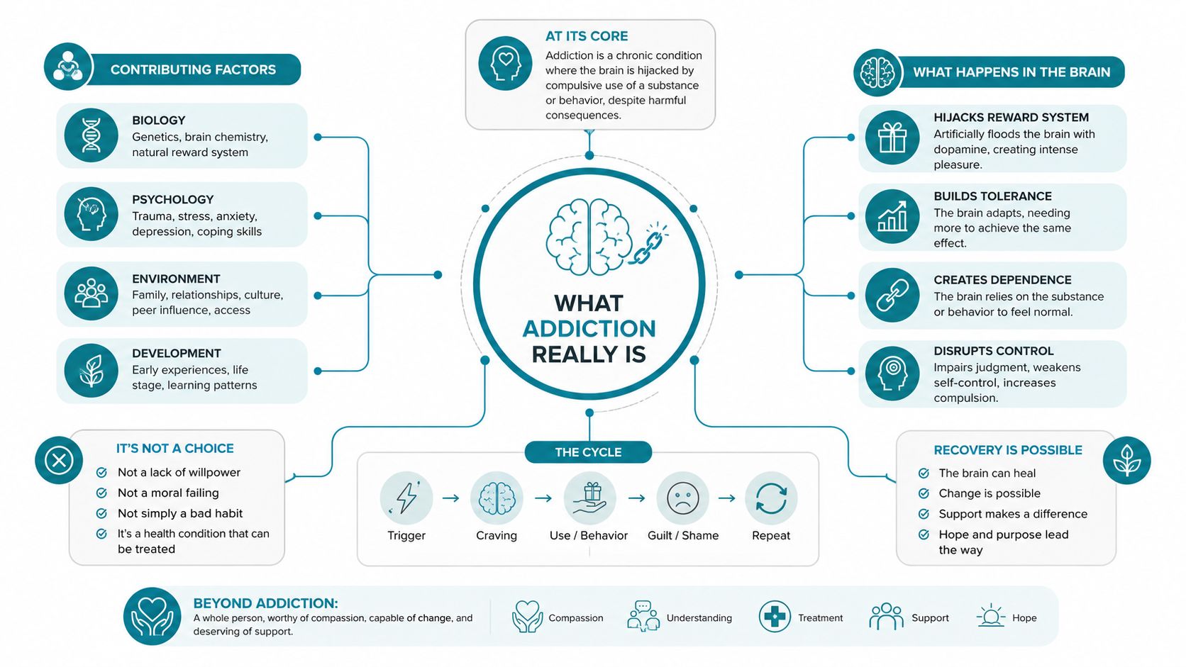 An infographic titled What Addiction Really Is detailing the core definition, contributing factors, cycle, and recovery paths.