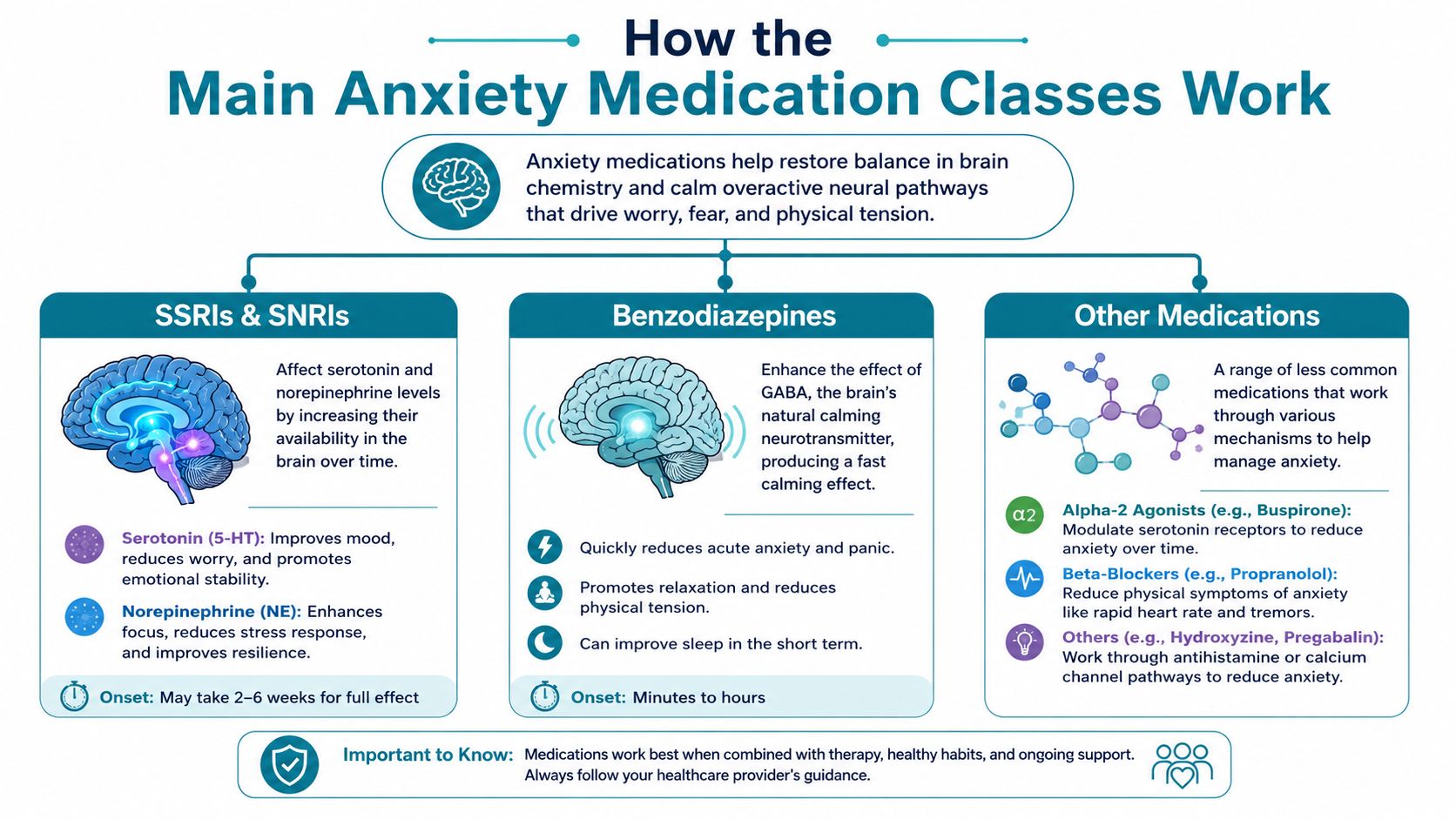 An infographic titled How the Main Anxiety Medication Classes Work explaining SSRIs, SNRIs, benzodiazepines, and other medications.