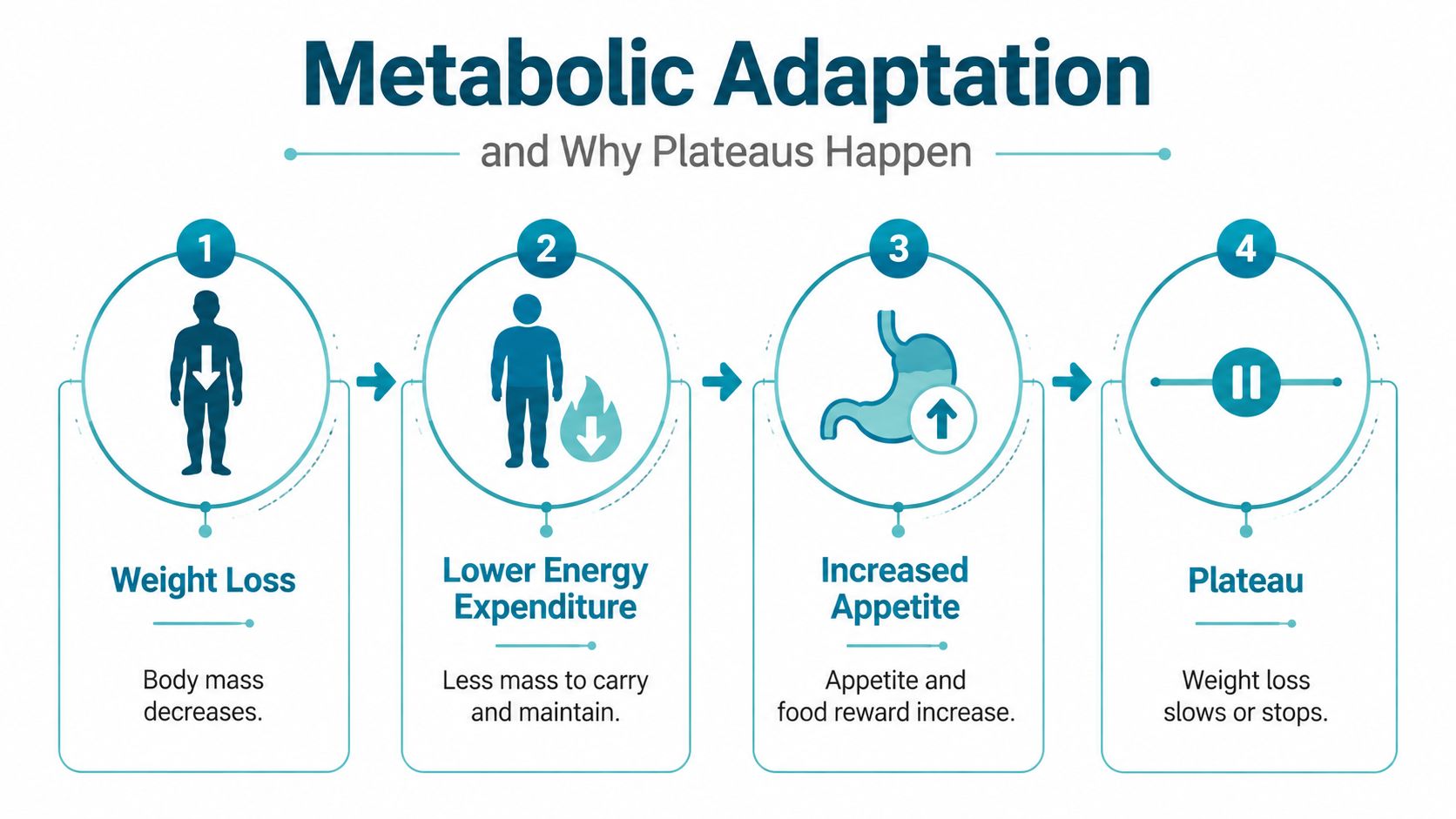 A four-step infographic illustrating metabolic adaptation and how weight loss plateaus occur during calorie deficit.