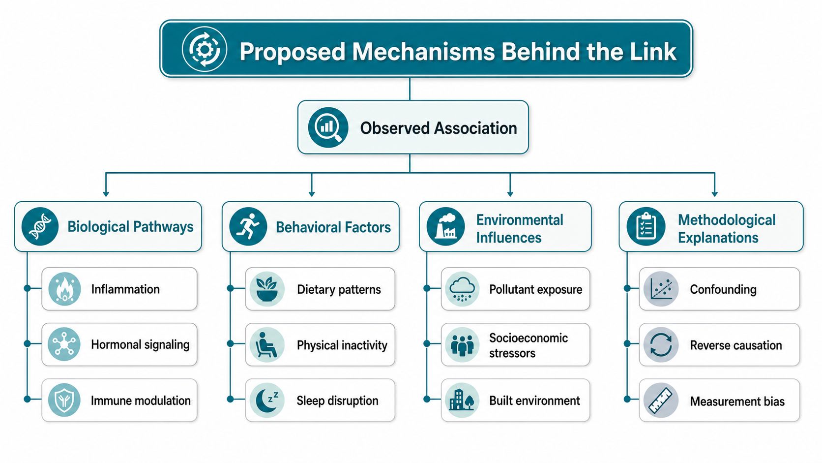 A flowchart diagram illustrating various biological, behavioral, environmental, and methodological mechanisms explaining an observed health association.