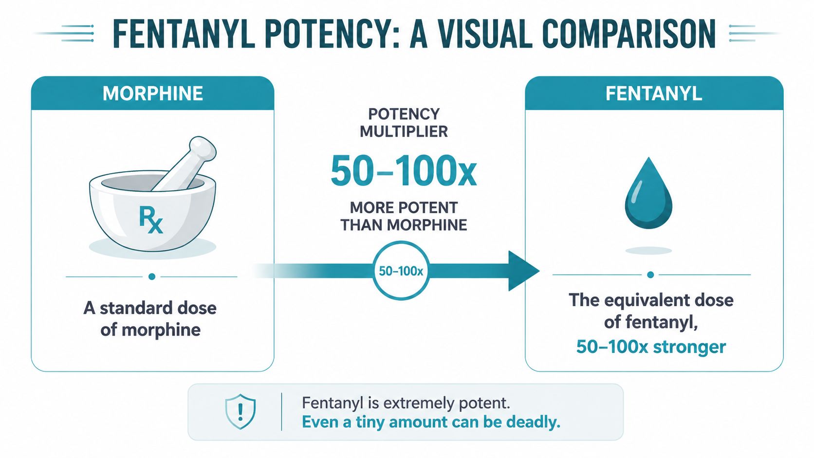 A visual comparison infographic showing that fentanyl is 50 to 100 times more potent than standard morphine.