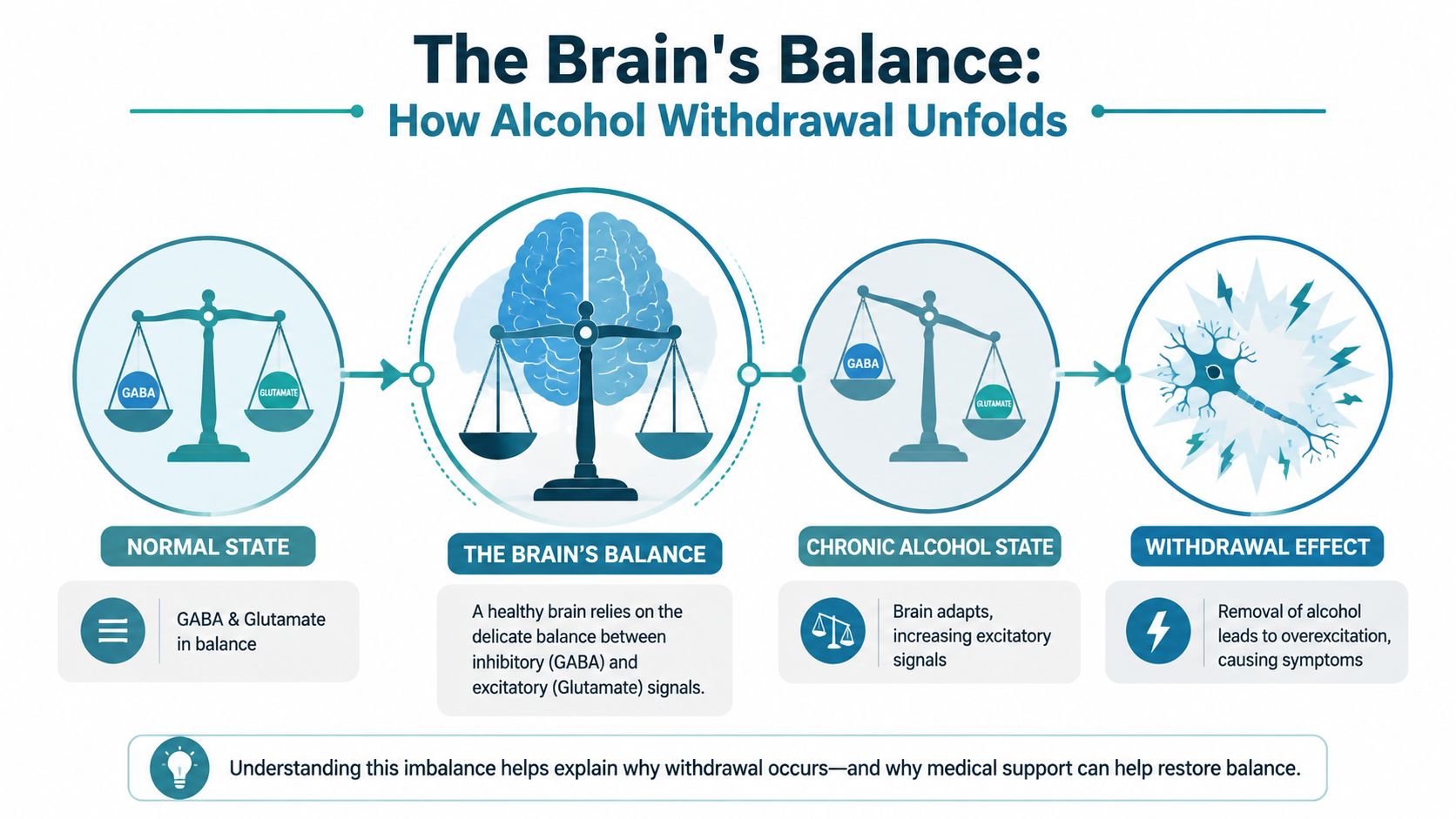 A diagram illustrating how chronic alcohol consumption and subsequent withdrawal disrupts the brain's delicate neurotransmitter chemical balance.