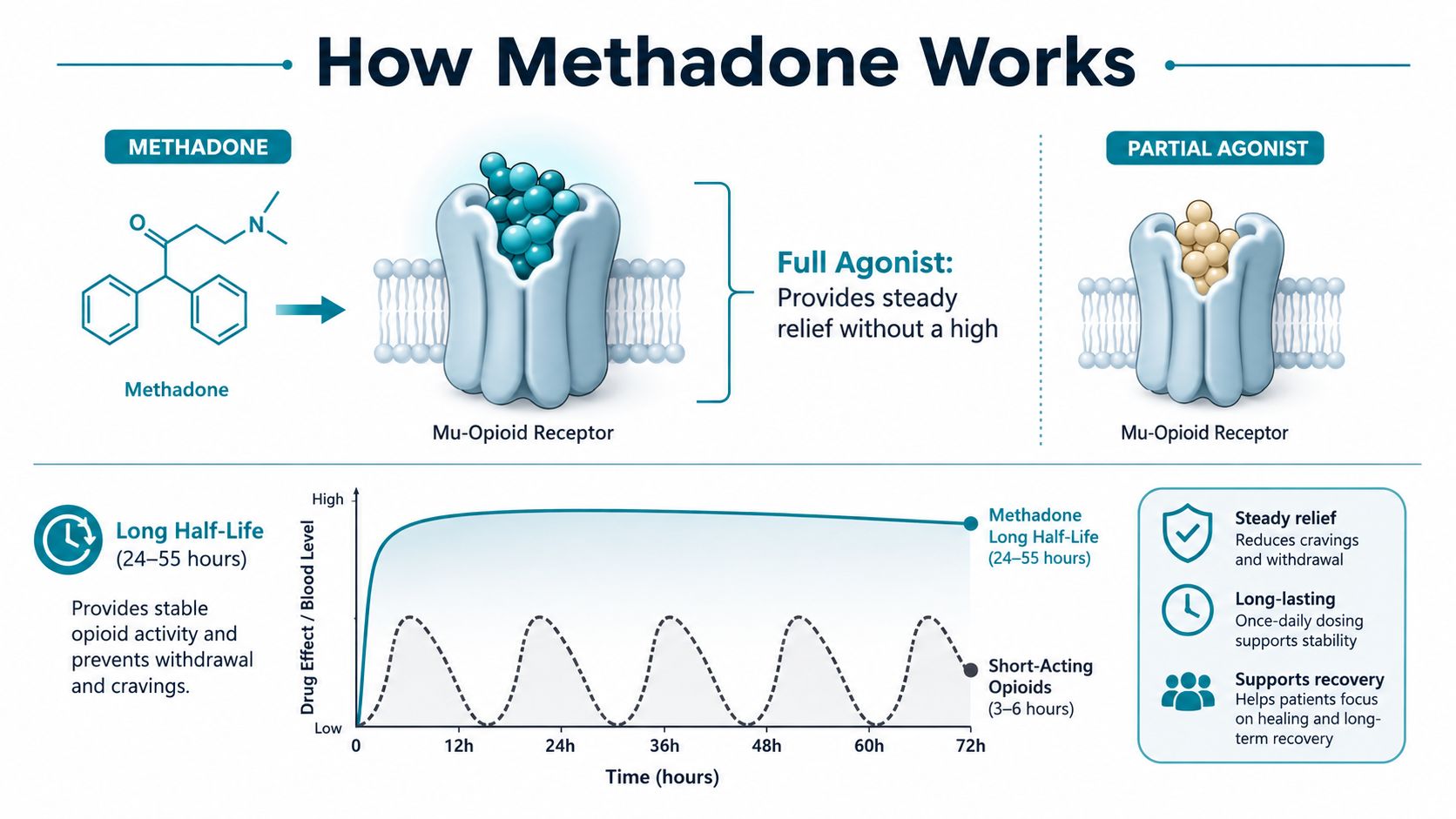 An educational infographic explaining how methadone acts as a full agonist at the mu-opioid receptor.