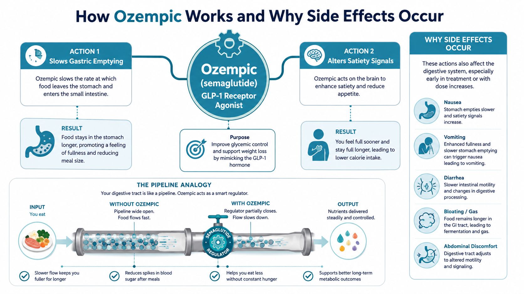 An infographic explaining how Ozempic works in the body and why it causes common digestive side effects.