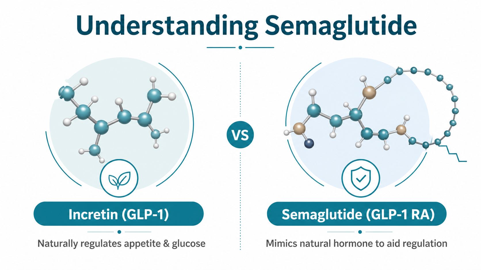A scientific infographic comparing natural GLP-1 incretin hormones to the medication Semaglutide, illustrating their molecular structures.