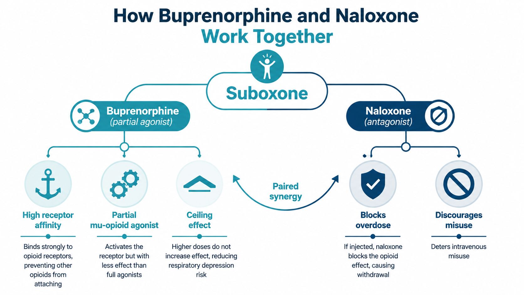 A diagram explaining how buprenorphine and naloxone work together in the medication Suboxone for opioid treatment.