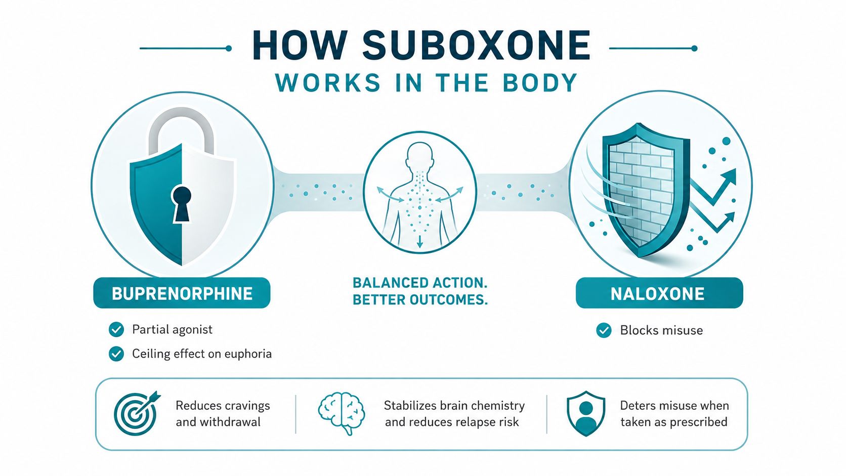 An infographic explaining how Suboxone works in the body using buprenorphine and naloxone components.