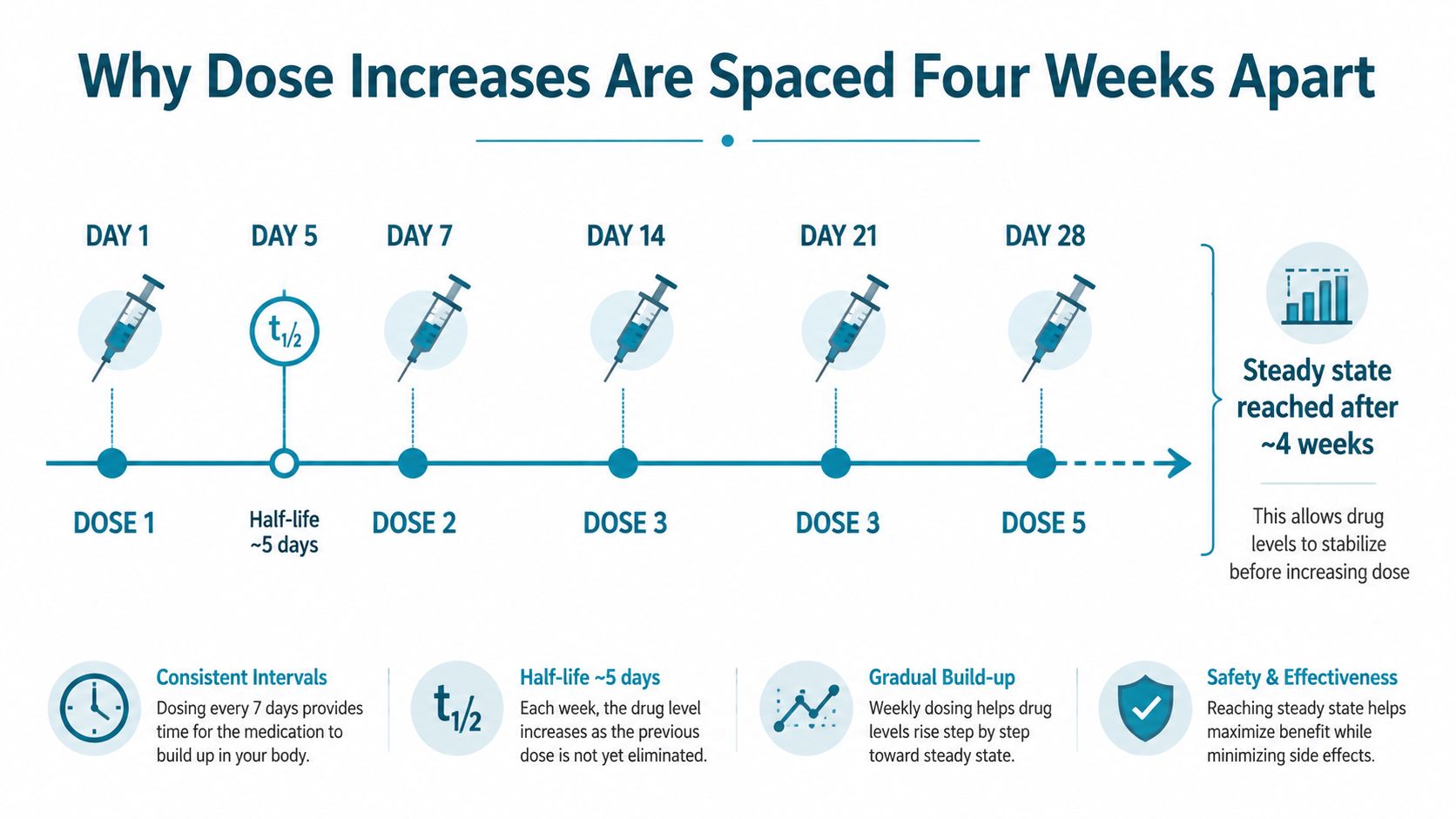 An infographic explaining why tirzepatide dose increases are scheduled every four weeks to ensure steady drug levels.