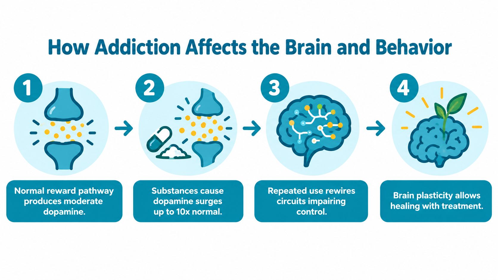 A four-step infographic illustrating how addiction impacts brain chemistry, signaling pathways, and the potential for recovery.