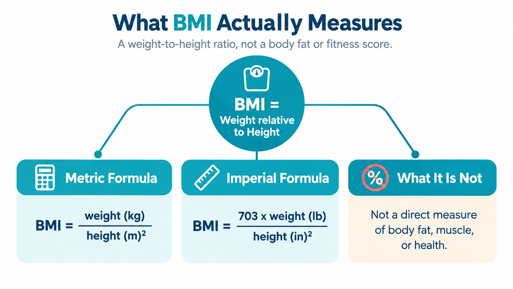 An infographic explaining that BMI calculates weight relative to height, using both metric and imperial formulas.