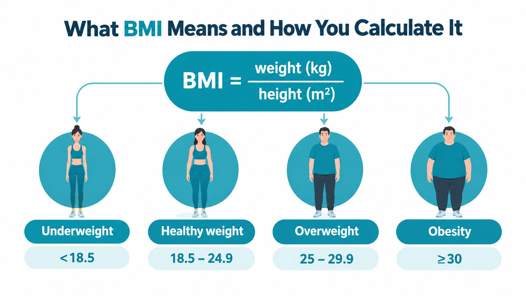 A visual guide explaining the BMI formula and the corresponding weight categories ranging from underweight to obesity.