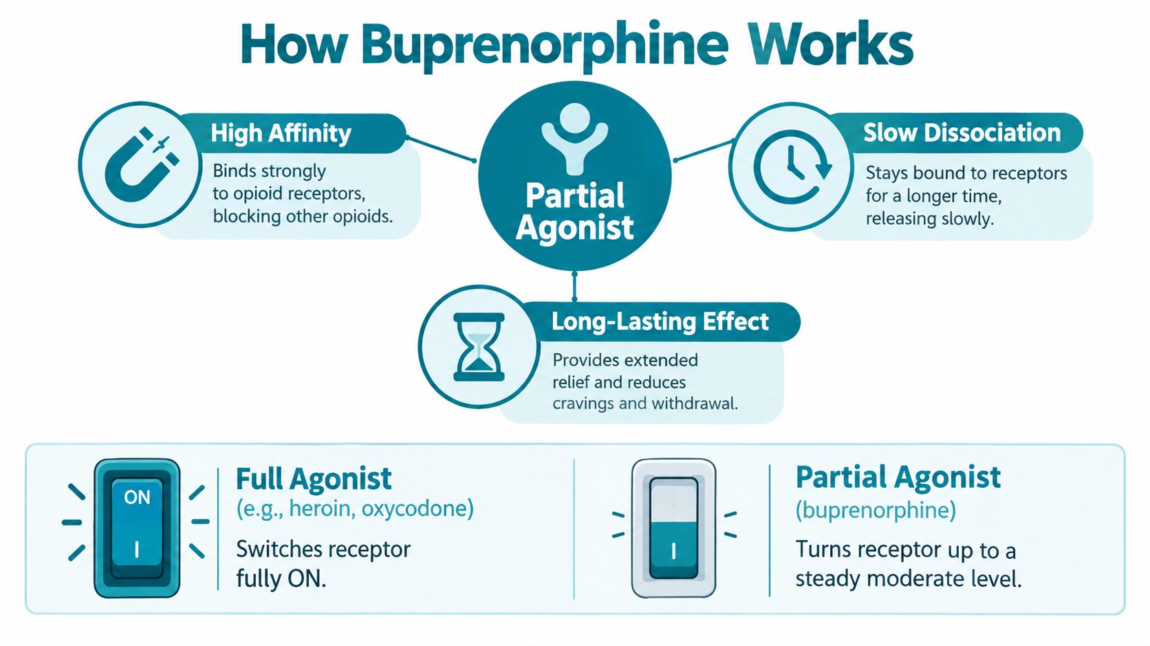 An infographic explaining how buprenorphine functions as a partial agonist to treat opioid addiction symptoms.
