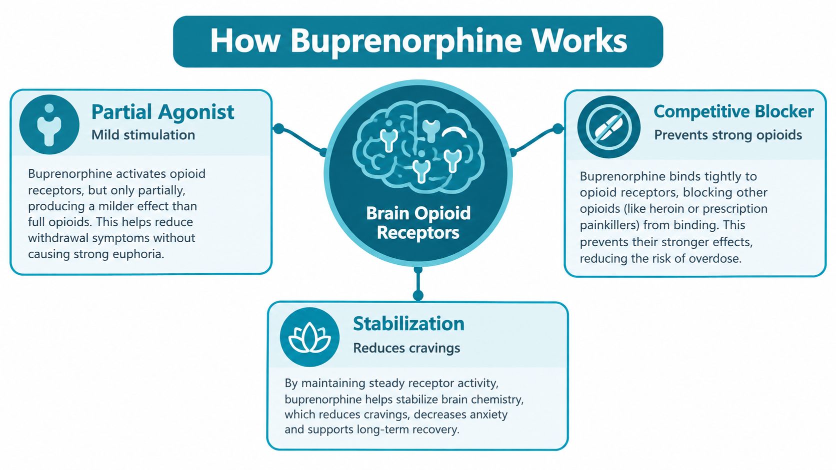 A diagram explaining the mechanism of buprenorphine as a partial agonist, competitive blocker, and stabilization agent.
