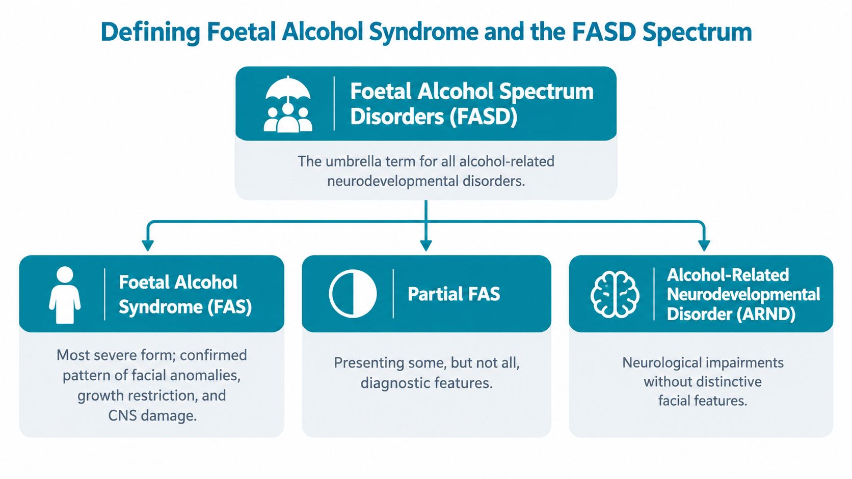 A diagram defining the Foetal Alcohol Spectrum Disorders, showing subcategories including FAS, Partial FAS, and ARND.