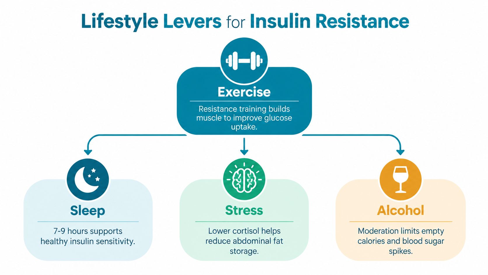 A diagram outlining lifestyle levers including exercise, sleep, stress management, and alcohol moderation for insulin resistance.