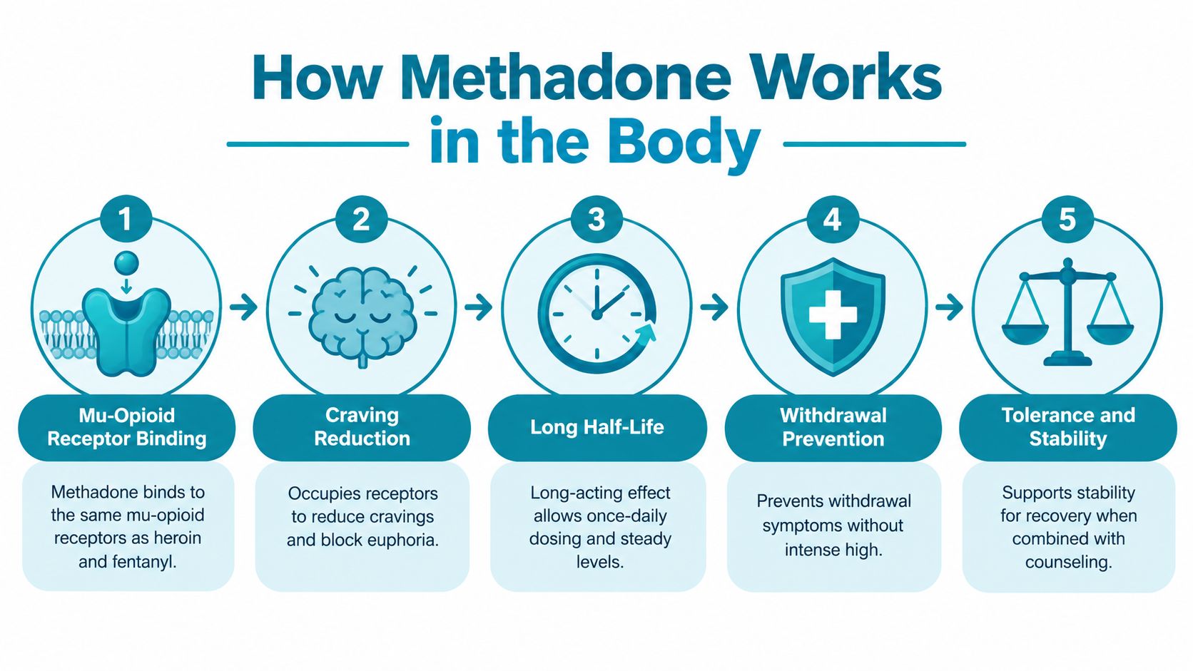 An infographic showing the five steps of how methadone works to support recovery from opioid addiction.
