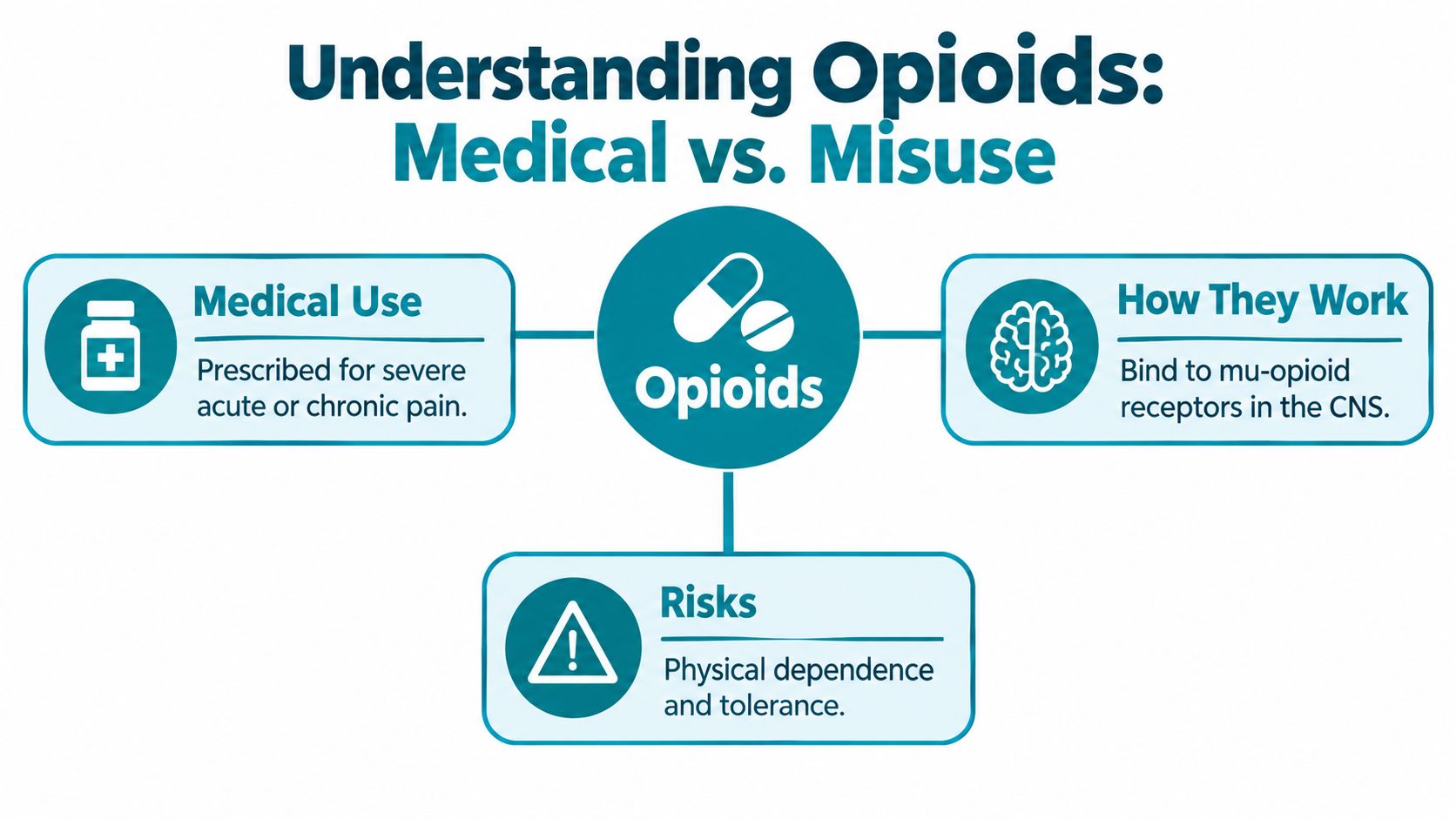 An infographic titled Understanding Opioids explaining their medical use, mechanism in the brain, and associated risks.