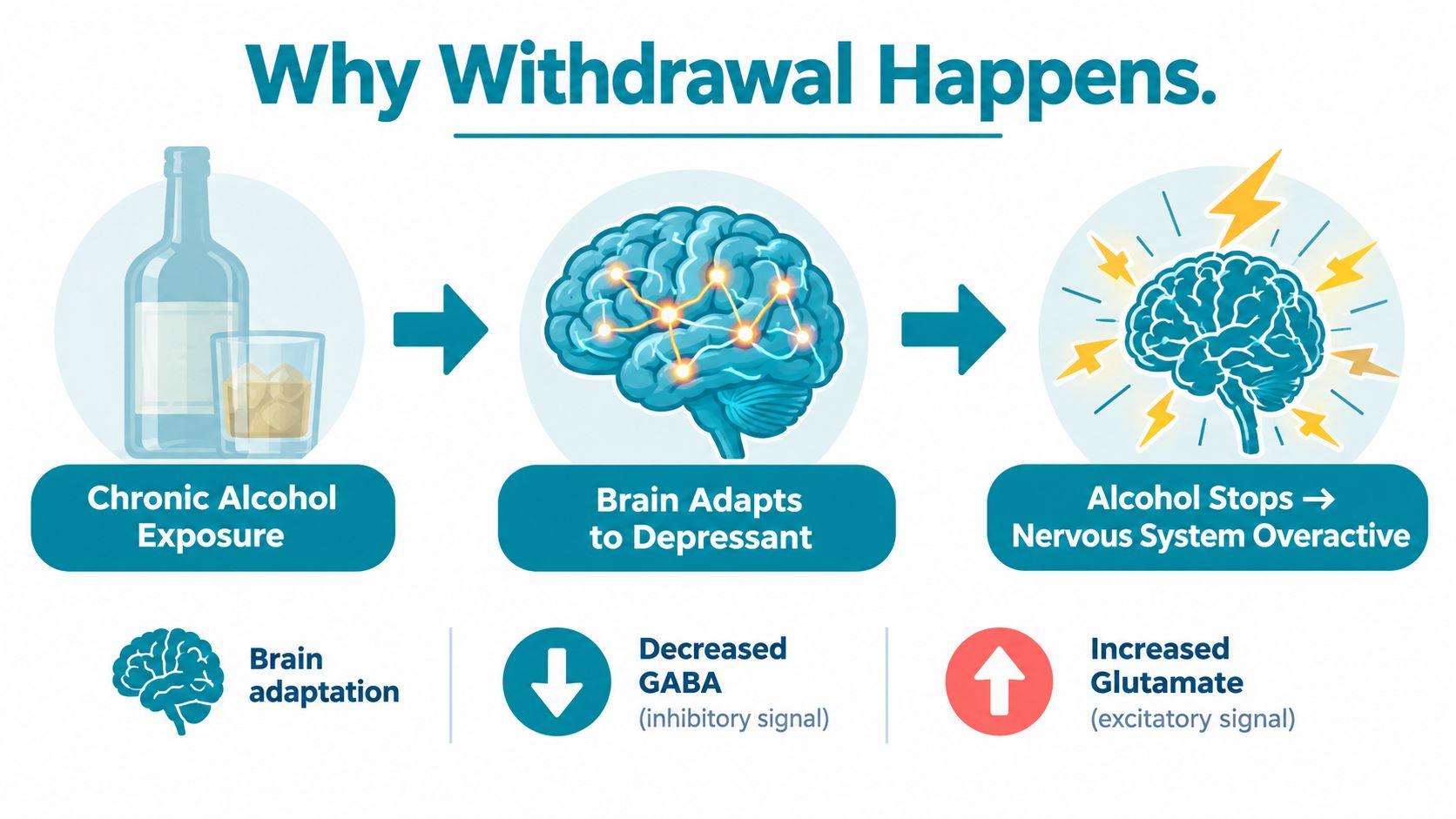 A diagram explaining how chronic alcohol exposure leads to brain adaptation and withdrawal symptoms via neurotransmitter imbalances.