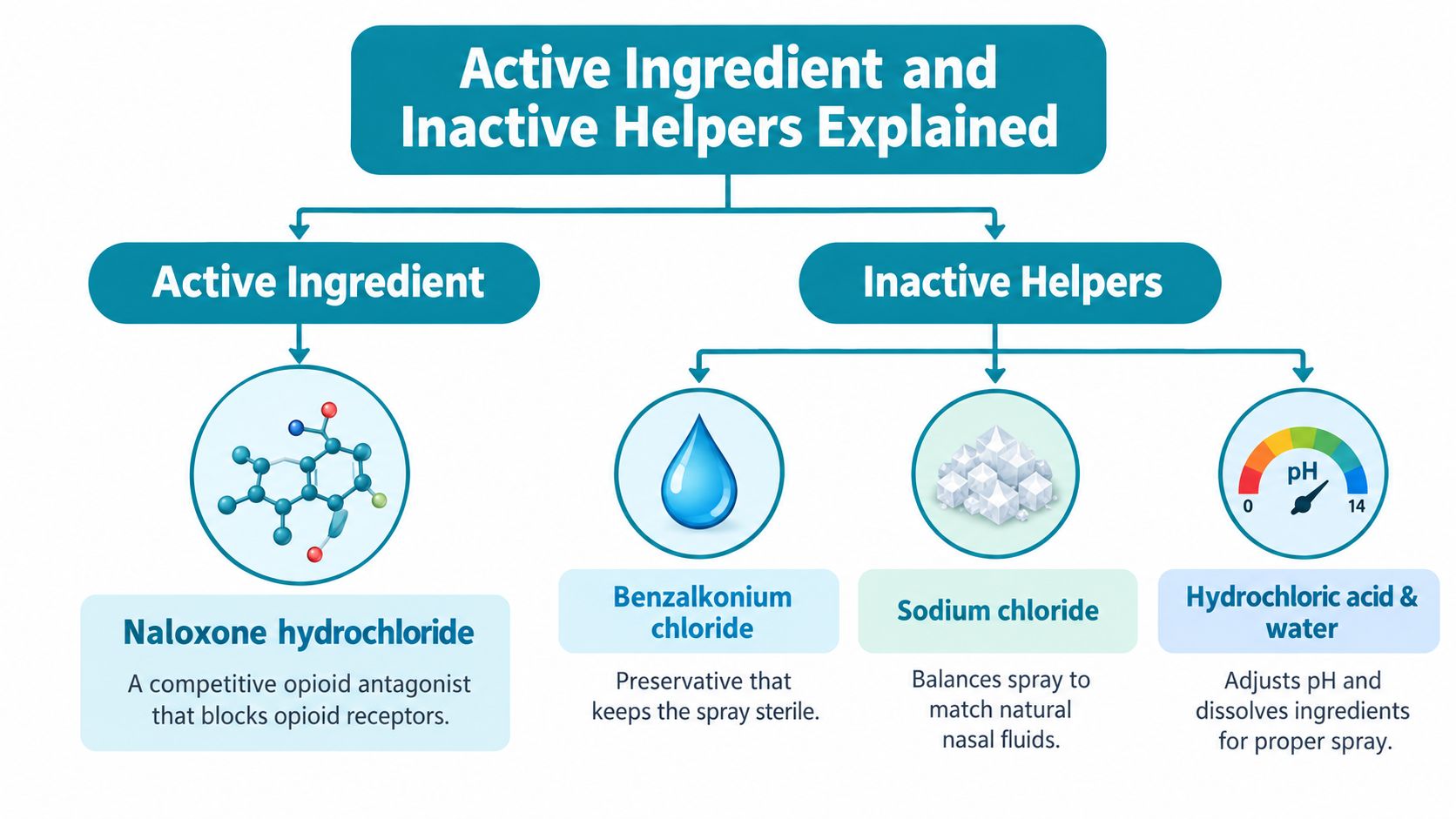 An infographic explaining the active and inactive ingredients in a naloxone nasal spray for opioid overdose reversal.
