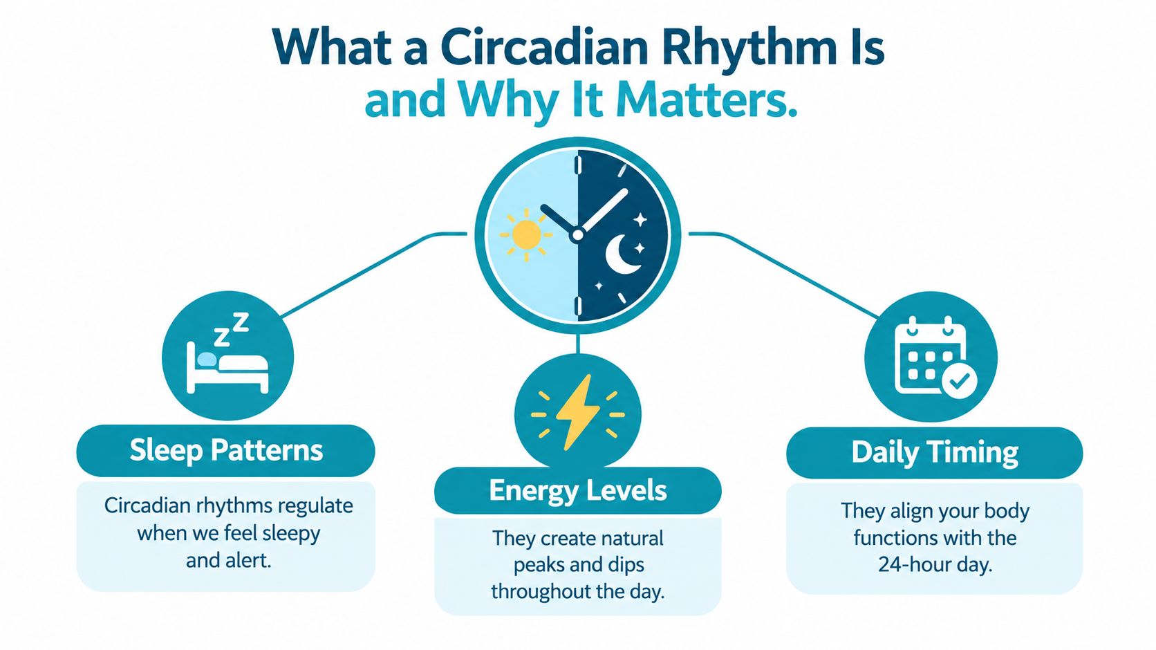 A diagram illustrating how circadian rhythms influence sleep patterns, daily energy levels, and overall bodily timing.