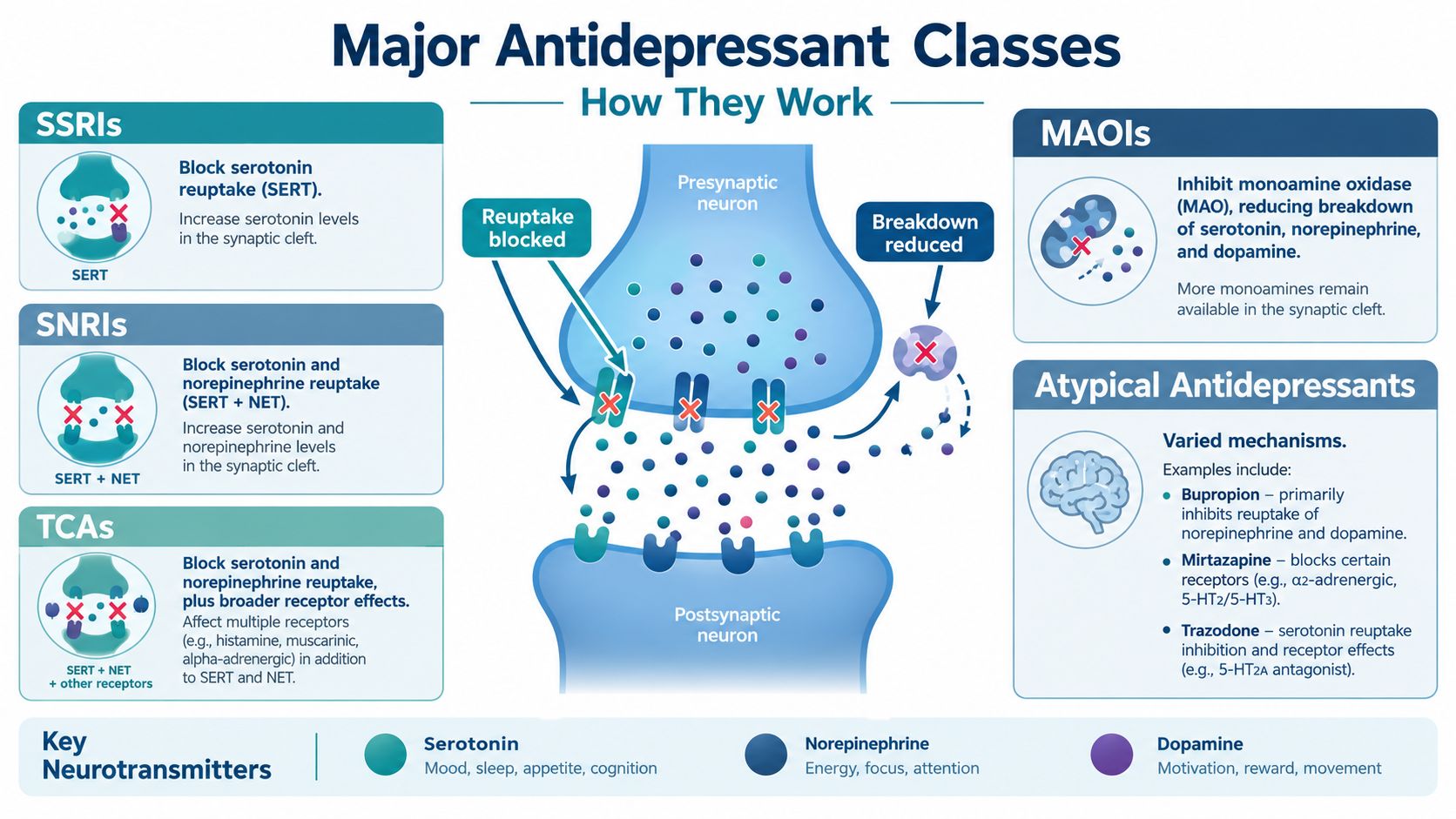 An infographic showing how different classes of antidepressant medications function within the brain's synaptic cleft.