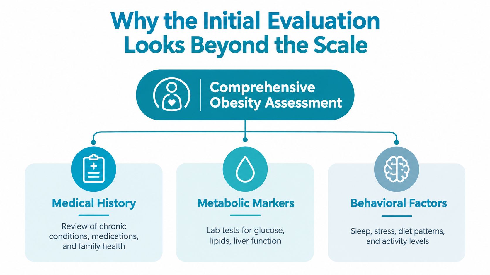 A diagram outlining the components of a comprehensive obesity assessment including medical history, metabolic markers, and behavioral factors.