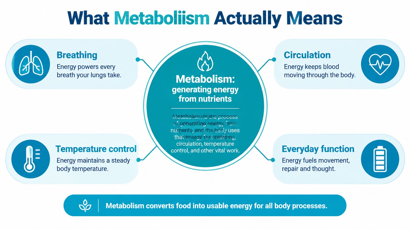 An infographic titled What Metabolism Actually Means explaining how the body converts nutrients into energy for vital functions.